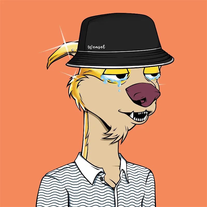 Tommy619🐸 tweet media