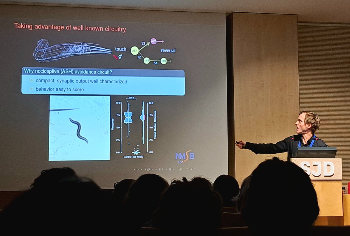CarmenMarFdz's tweet image. Dr. Michael Krieg presenting our work from @NMSBlab @Rabbs20 about engineering optical synapses in C.elegans, today at #BMPNetwork meeting.  @SJDbarcelona_ca @ICFOnians