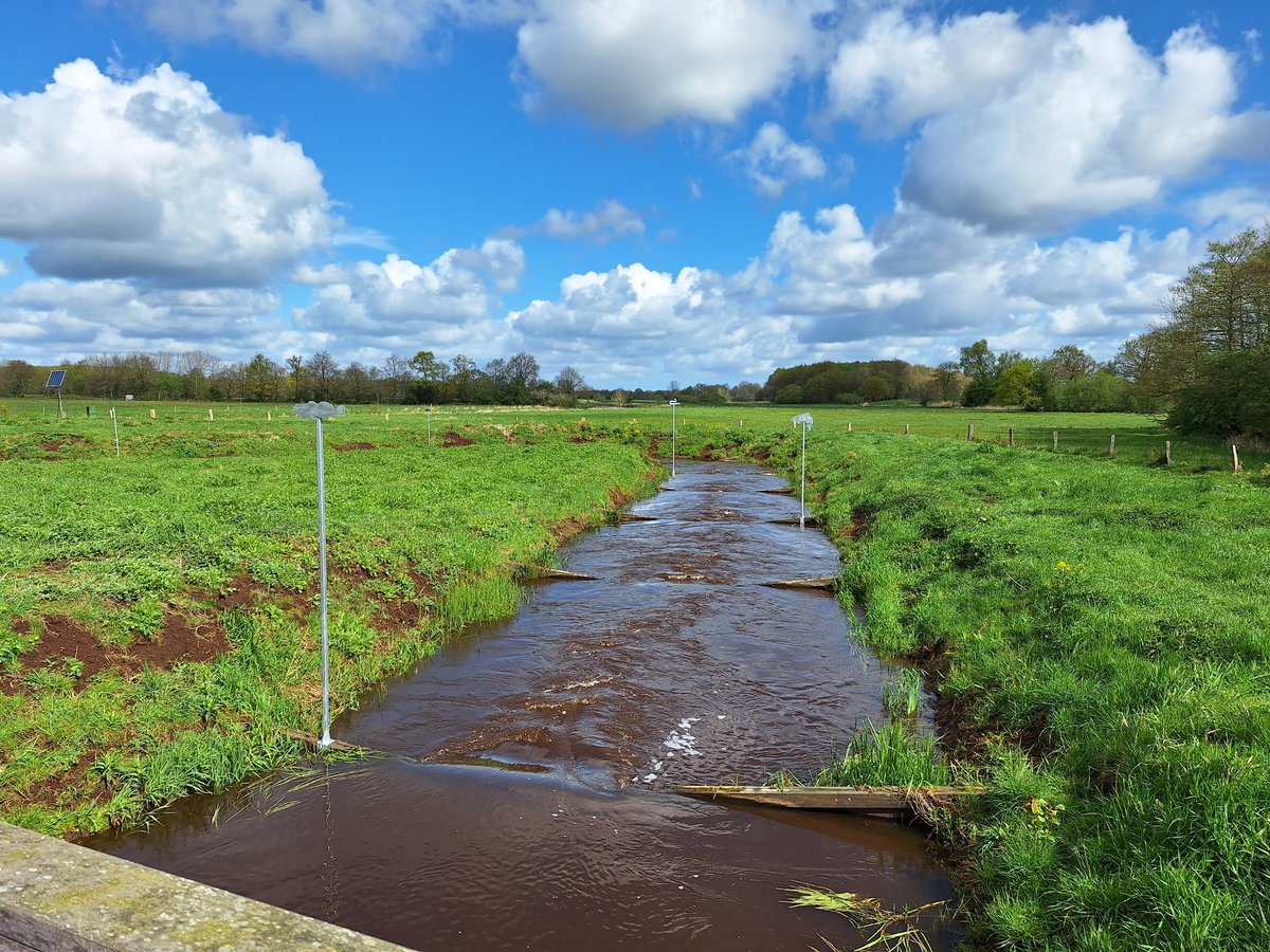 JanWanink's tweet photo. Second stop of the ##FreeFlowConference/ ##SwimCon24 excursion. The old fish trap at Sterrebos was still too much of a barrier for most species. So in 2018 @Noorderzijlvest created a bypass. https://t.co/vs421Ln4eZ