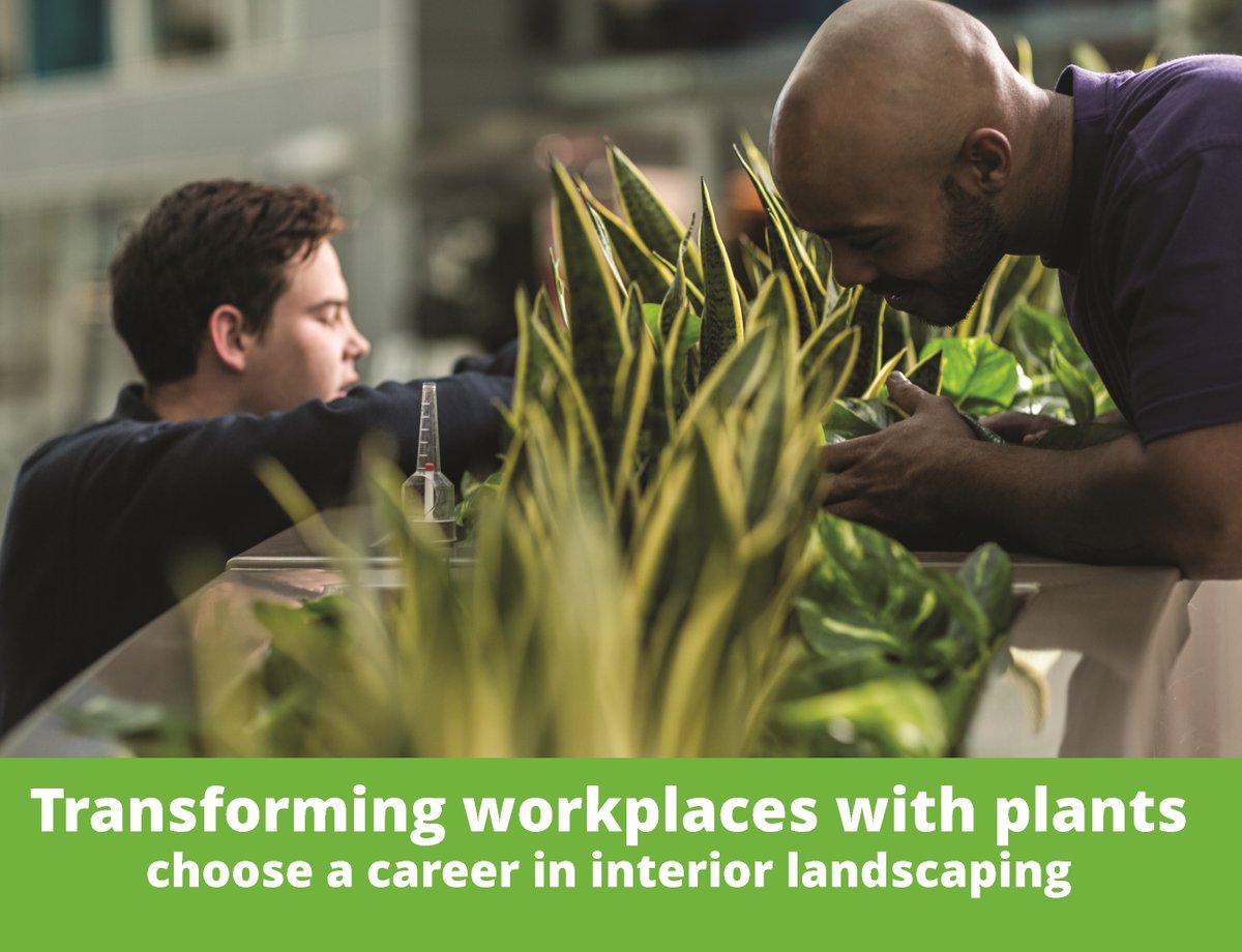 plants_atwork's tweet photo. Today we're celebrating #InteriorLandscaperDay. The world of interior plants is fascinating! Ever wondered what interior landscapers do? Choosing a career in this field can be rewarding & inspiring. #IILD Here is an article we've written for #NCW https://t.co/rPmf18iSf3 https://t.co/Z99NtXtYxw