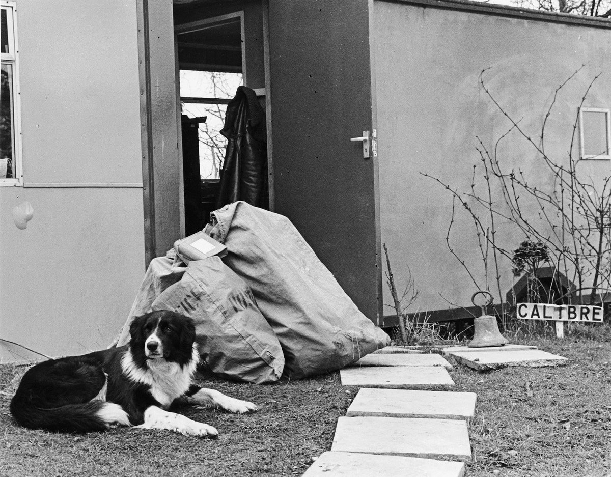 Such a lovely photo of a dog sitting outside the Calibre Audio office when it was first built! We love to look back on memories to celebrate the last 50 years that Calibre has been around for  ❤️🏅

 #CalibreAudio #OfficeDog #ThrowbackThursday