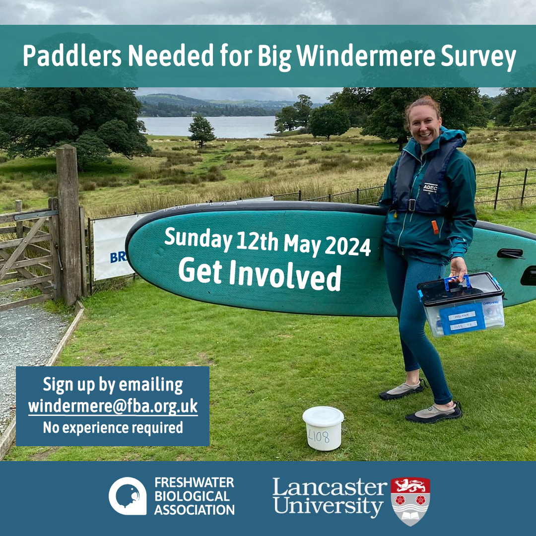 Paddlers needed for #BigWindermereSurvey on 12th May 2024 🛶🏄. Get involved! Help assess the ecological health of #Windermere. No experience required. Sign up by emailing us at windermere@fba.org.uk or visit fba.org.uk/volunteer/the-… for more info #CitizenScience #WaterQuality