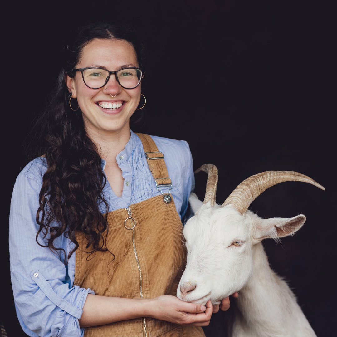 🌱Sophia Morgan-Swinhoe who runs an upland dairy farming business on long-term tenancy at Maes Dulas Farm, Machynlleth is aiming to accelerate its move away from a reliance on nitrogen fertiliser for growing grass by growing herbal ley mixes. 📰➡️bit.ly/3Q46UUR