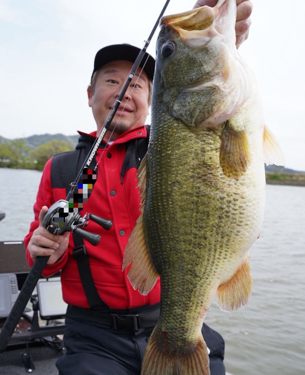 obasslive's tweet photo. 2日間の北湖旅。

ほんとストラクチャーから飛び出てきた瞬間はスローモーションのような痺れる景色でした。

シャローには大型スクールがウロウロと徘徊中な場所も。次の潮周りで一気に上がり北湖も春爛漫になりそうです。

tackle
MTSC-702MH @method_tackle 
METANUM DC HG +Studiocomposite handle
フロロ25lb
1.5ozジョイントベイト

#obasslive #martline #bassfishing #lakebiwa #methodtacklesyndicate #shimano
#琵琶湖 #琵琶湖バス釣り #白水和雅 #ウズウズ #プリスポーン #北湖 #最高の喰われ方
