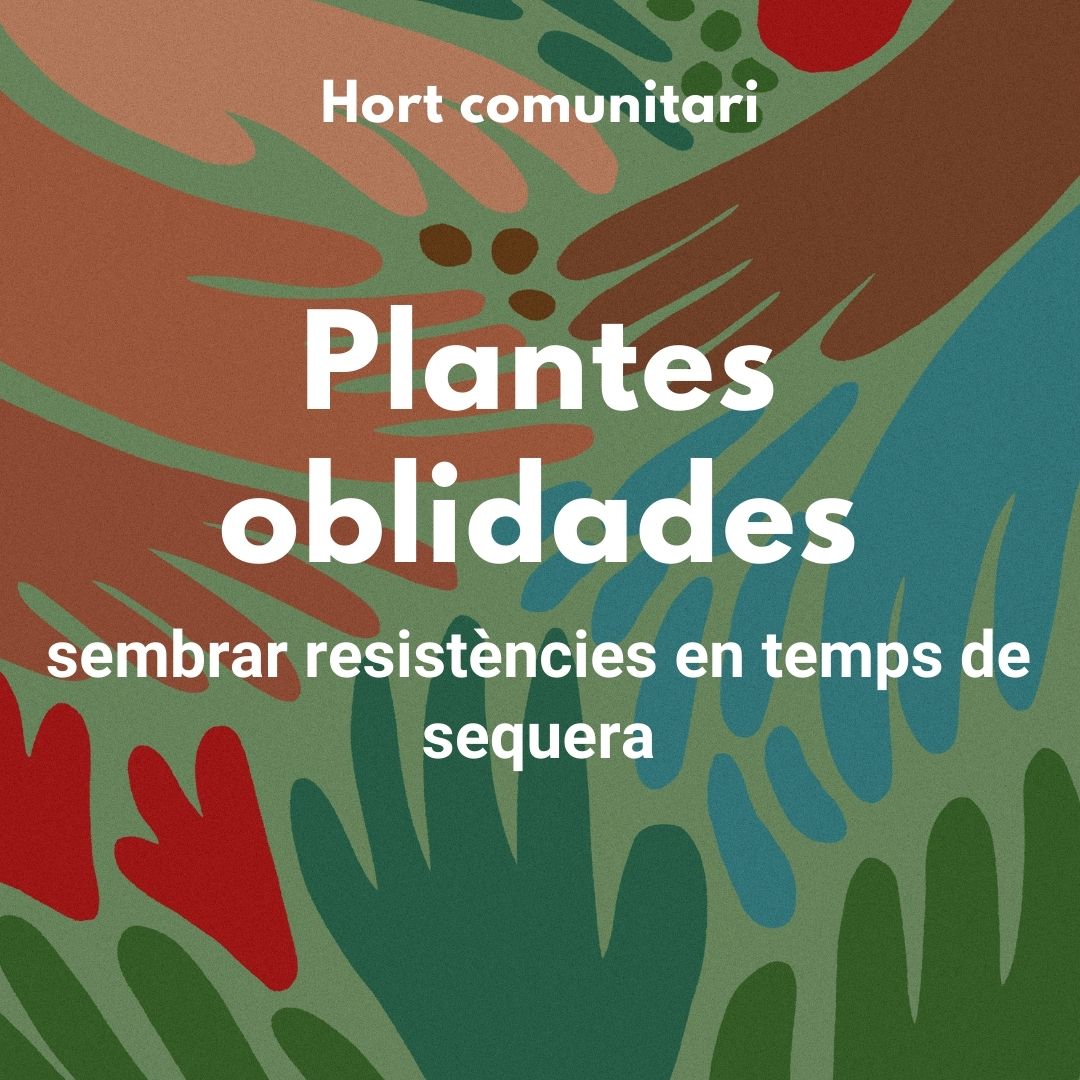 Plantes oblidades, sembrar resistències en temps de sequera Diumenge 21/04, 11.30h Facilitat per @eixarcolant amb la col·laboració de l'@aajbb_info Hi participem CAP Raval Nord, Hacer t/Tierra, MACBA i Metzineres 📍Jardí ambulant i Convent dels Àngels ℹ️ tiny.cc/plantada-hort-…