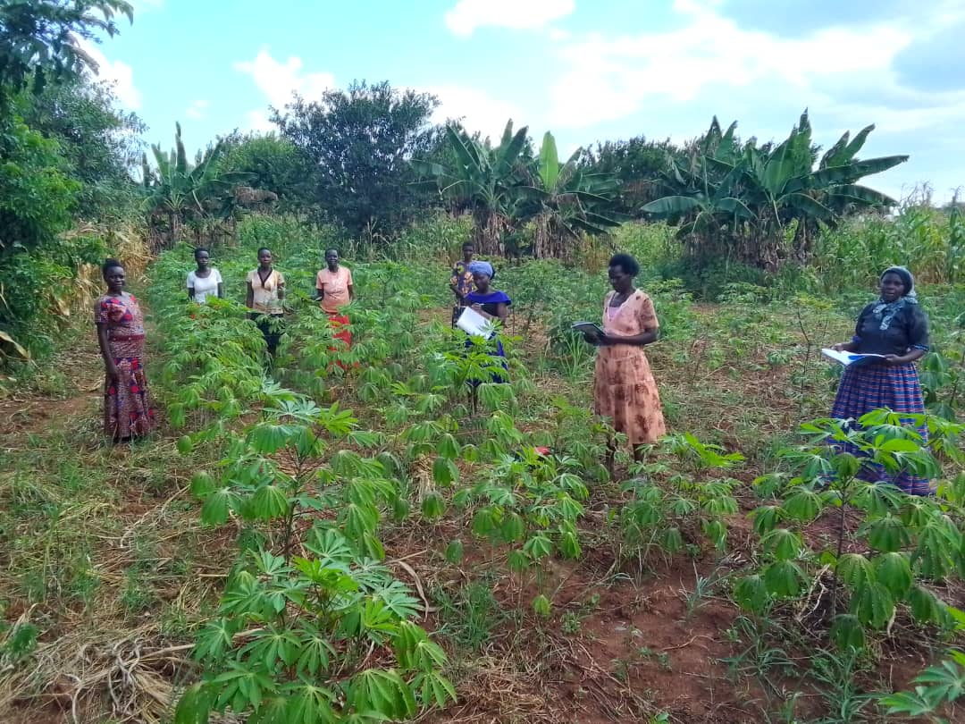 @ESAFFUG @LVCSEAf @PeasantsLeague @MVIWATA However, small-scale farmers’ noble efforts are increasingly threatened by a myriad of challenges including encroachment by large-scale investors, the harsh realities of climate change, limited market access, exploitation by the private sector, and unfavorable policies.