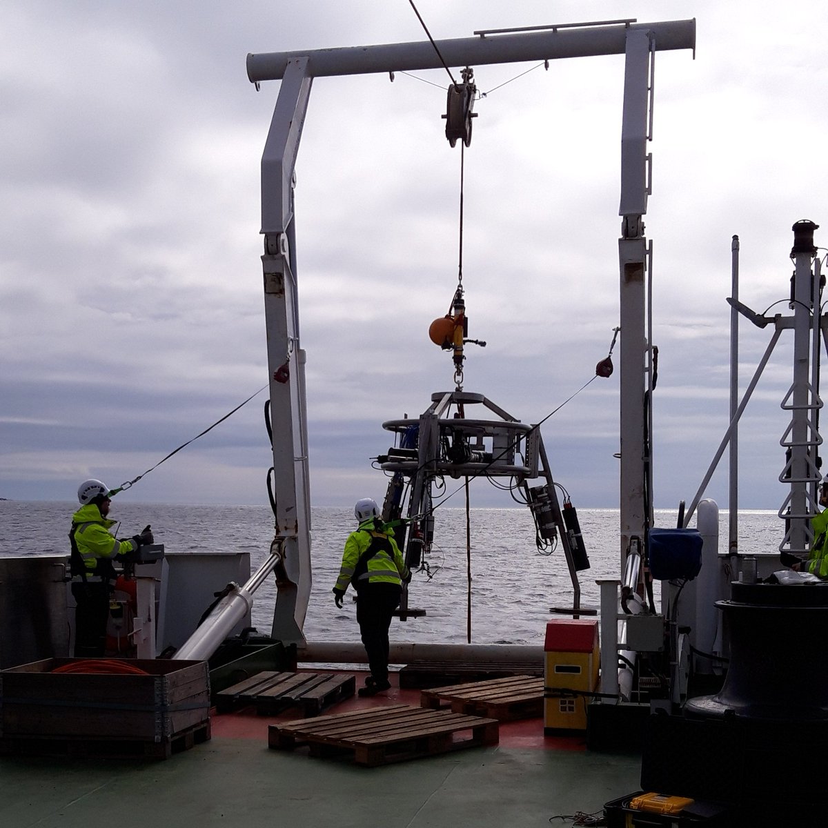 jvirtasa's tweet photo. @FINMARI1 benthic lander was successfully deployed!
@SuomenAkatemia #PHYTOTRANS project
@GTK_FI #marinegeology #Aranda @KristianSpillin https://t.co/e5C2pf3zrY