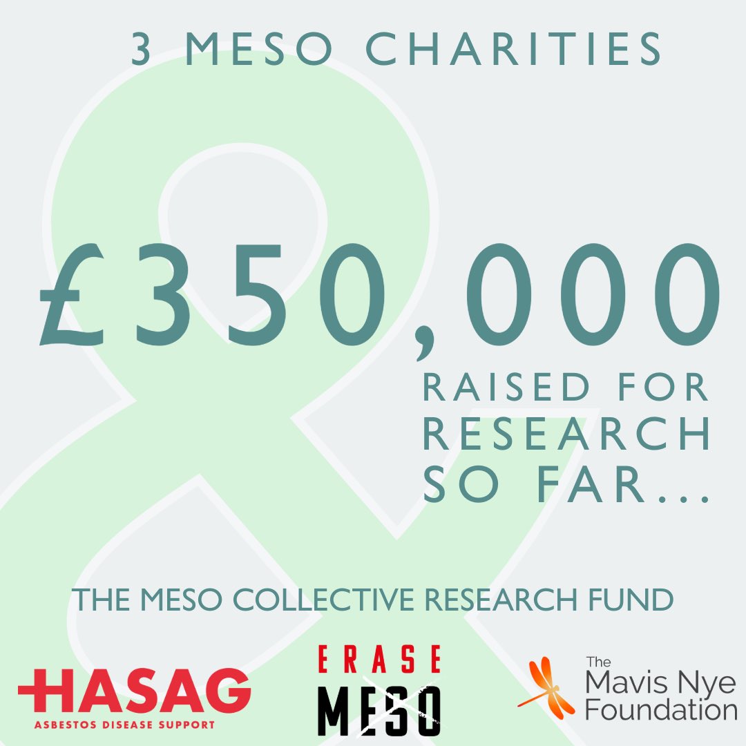 #BTOG24 #mesocollective #mesothelioma #hasag #erasemeso #mavisnyefoundation This is just the start….