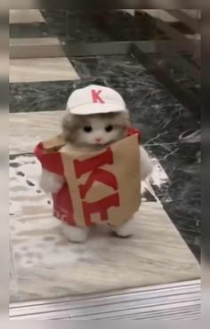 _catscastle tweet picture