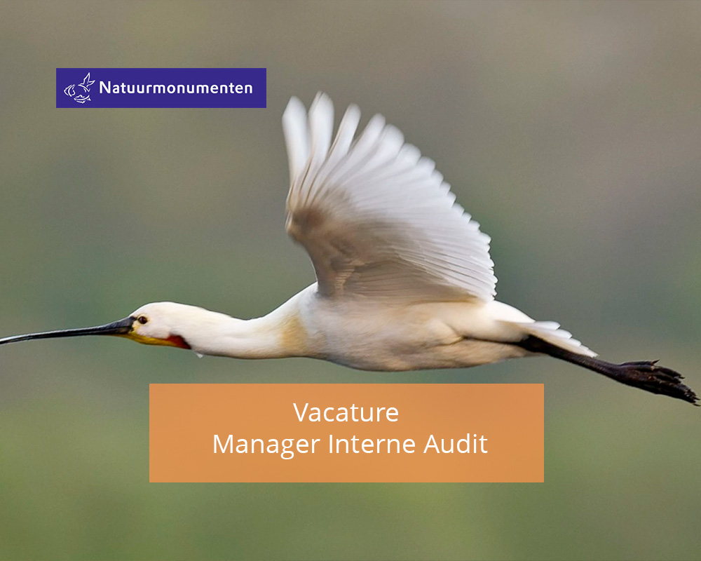 Natuurmonumenten is op zoek naar een Manager Interne Audit voor 37 per week in Amersfoort: ayr.app/l/PmnZ #Natuurmonumenten #vacature #vacatures #JobsthatMatter