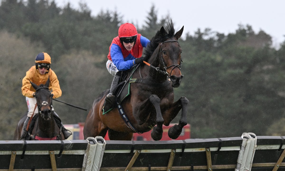 Season Finale Timings Update! 😍 Following so many entries, we have 2 divisions... meaning we now have 8 races 🙌 ⏰Gates open 3pm 🐎First race 4.25pm 🐎Last race 8pm 🎵Followed by live music from the fantastic Wild Murphys