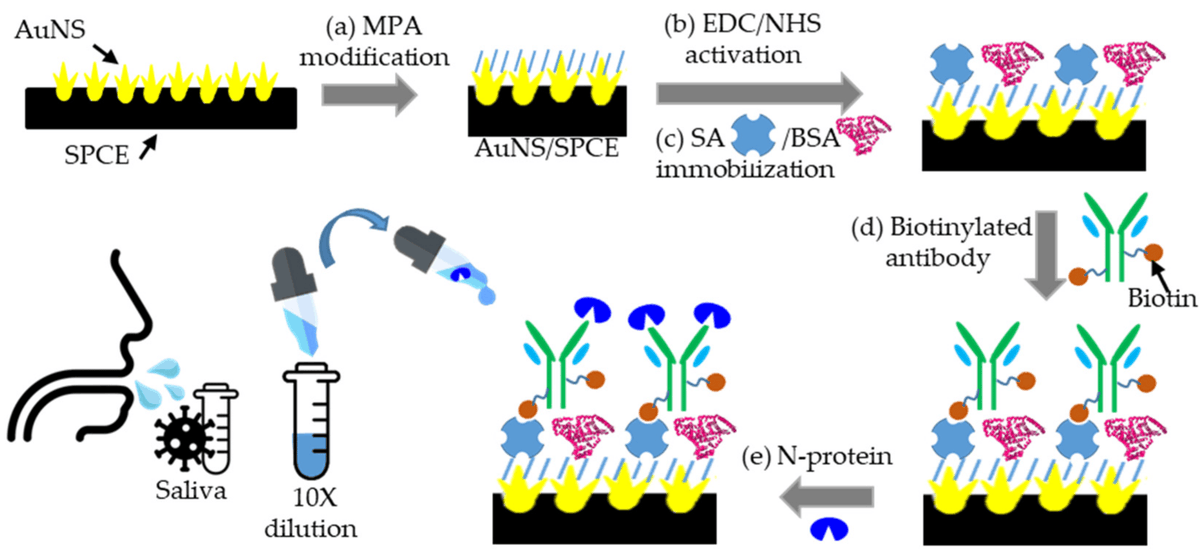 Biosensors_MDPI's tweet photo. #Article
A Label-Free Electrochemical Impedimetric Immunosensor with Biotinylated-Antibody for SARS-CoV-2 Nucleoprotein Detection in Saliva by Ching-Chou Wu, et al.
https://t.co/EFJa2NHROJ
@MDPIOpenAccess @ChemMatSci_MDPI @NCHUiGEM
#immunosensor #antigentests #openaccess https://t.co/yNyoeJpBdv