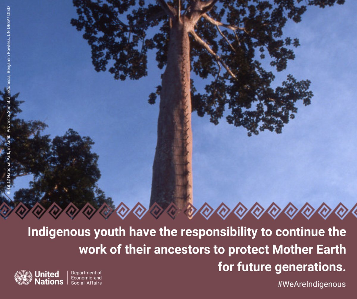 The meaningful participation of #IndigenousYouth in addressing global challenges, such as climate change and conflict resolution, is crucial for upholding self-determination and ensuring future generations can continue living in harmony with Mother Earth.
#UNPFII2024