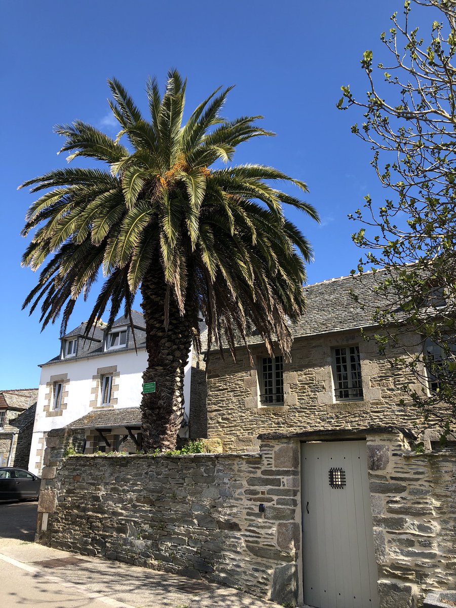 Un bol d’air marin avant le grand salon de #généalogie de #Morlaix pour fêter les 40 ans du CGF. RDV demain sur mon stand Recherche Ancêtres !