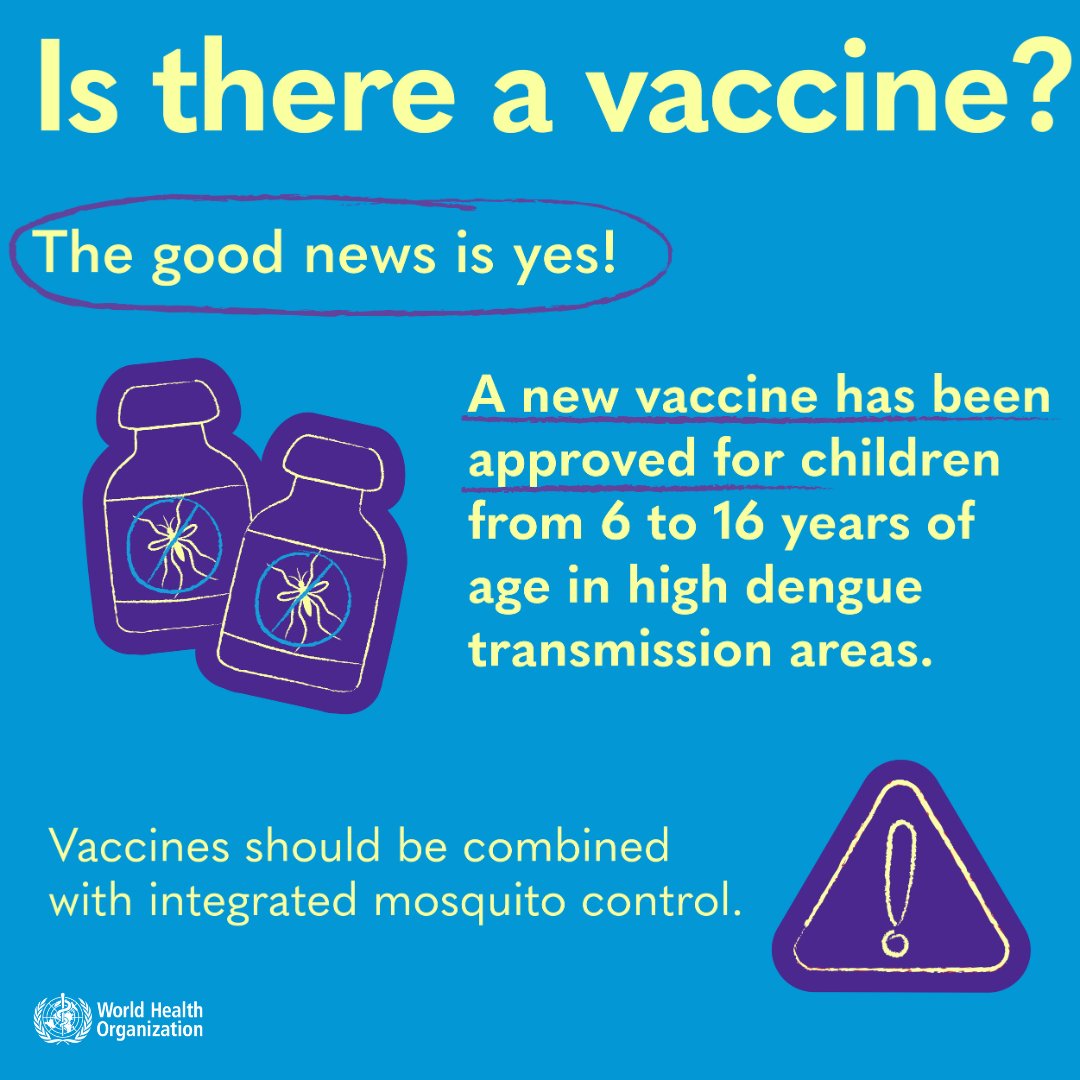 A vaccine is available & approved for children from 6 to 16 years of age who live in places where #dengue is present. More info 👉bit.ly/3PDbhpu