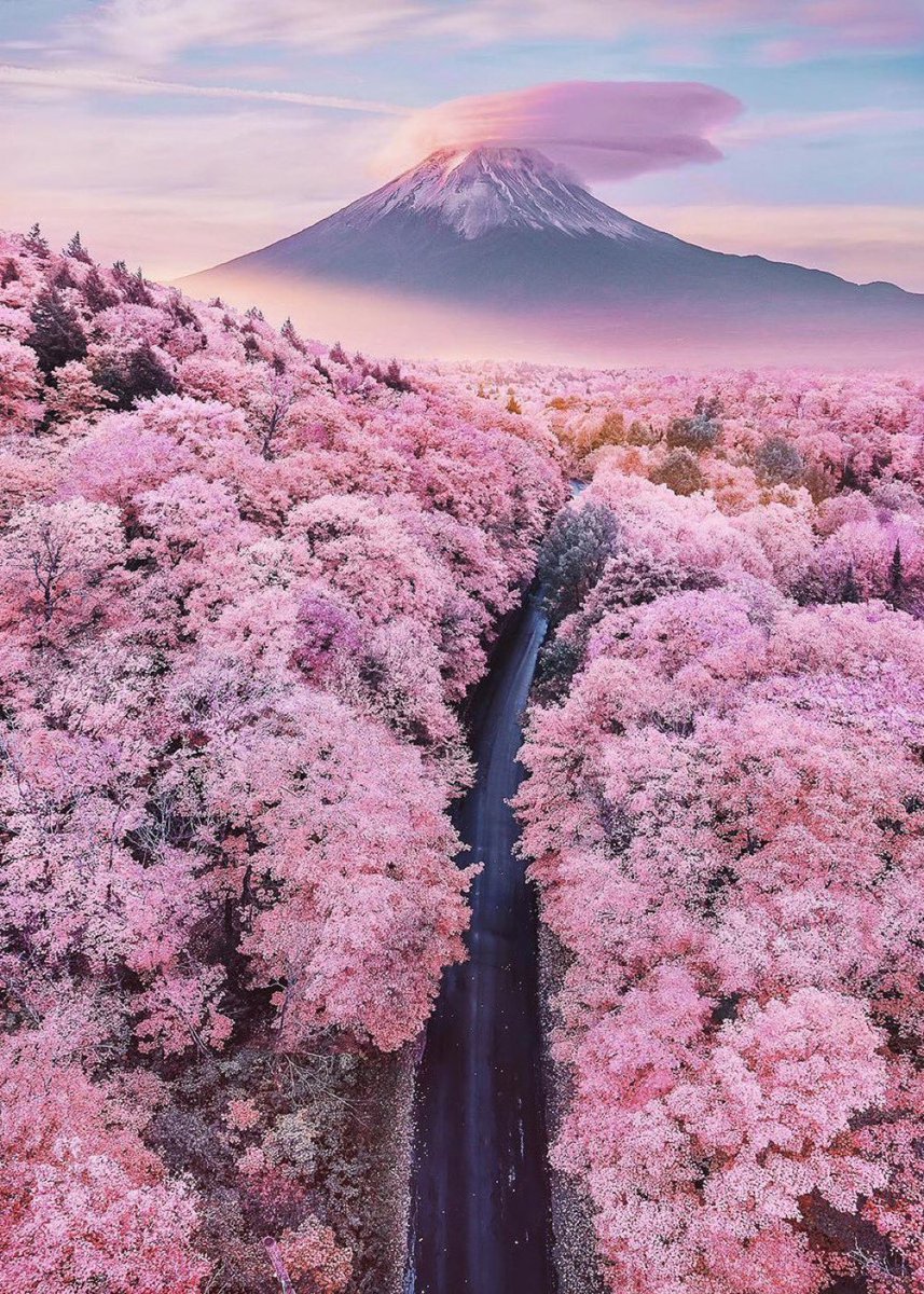 Mt Fuji, Japan 🇯🇵
