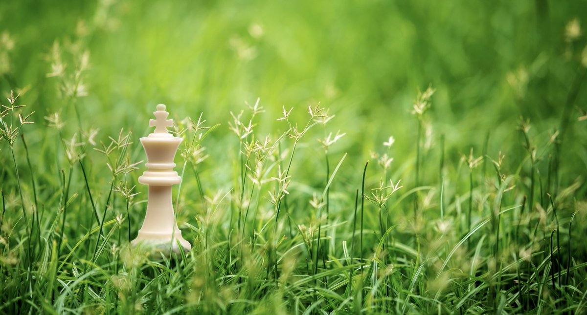 CounterpointeSRE tweet media