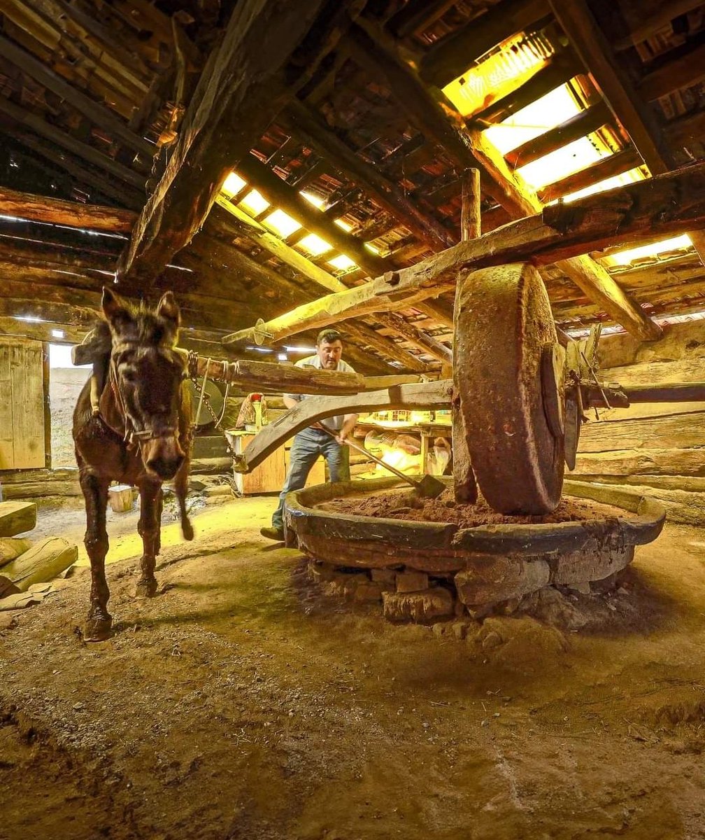 📌 İki asırlık bir yapı, binlerce yıllık bir kültür.
Carafa Bezirhanesi - Antik Yağ Film Fabrikası

Bir Kastamonu turizm fırsatı...
📍 Korupınar - İnebolu / Kastamonu  

#kültürelmiras #turizm #rehber37.

Fotoğraf :Adem Salcıoğlu