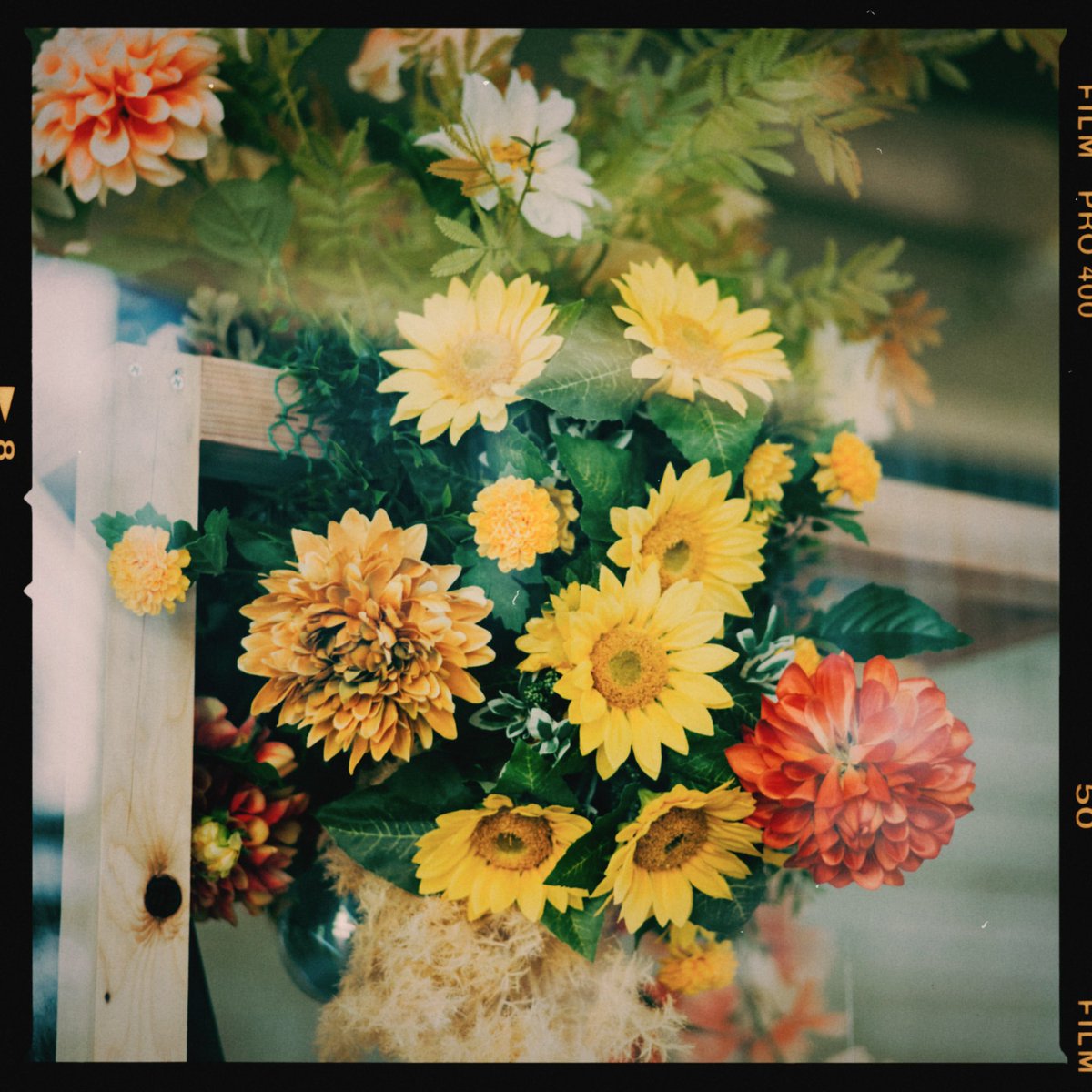 yu29_18's tweet photo. photos https://t.co/QSPglYmnxt