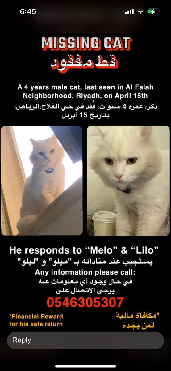 DrSoomab's tweet photo. @resqueingcats https://t.co/CygRUnGHWM