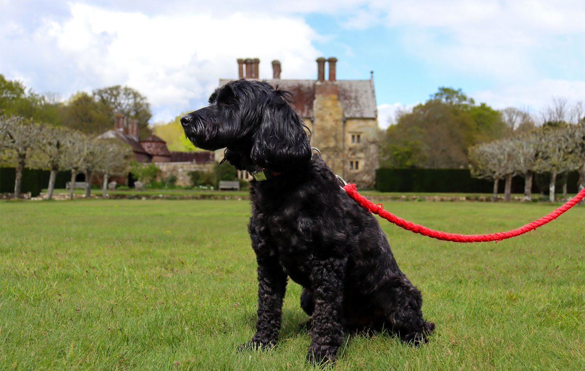 We love dogs at Bateman's, just as Rudyard Kipling loved his. Well-behaved dogs on short leads are more than welcome to visit with you. They are allowed to explore all outdoor areas. Plus, there is lots of outside seating at the tea-room where you and your dog can sit together.