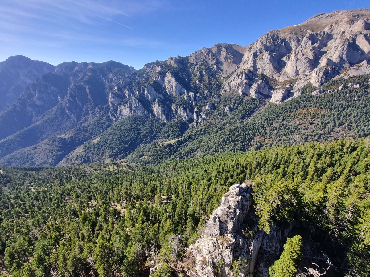 Excited to have started a postdoc at <a href="/CREAF_ecologia/">CREAF</a> in the <a href="/ecolandlab/">Eco-land lab</a> , as part of the <a href="/wildE_Europe/">wildE</a> project.

I'm looking forward to collaborating with my European colleagues!  🙂

Please reach out to chat all things biodiversity, fire, "rewilding", or otherwise! 🌱🔥🐞🦜🐁