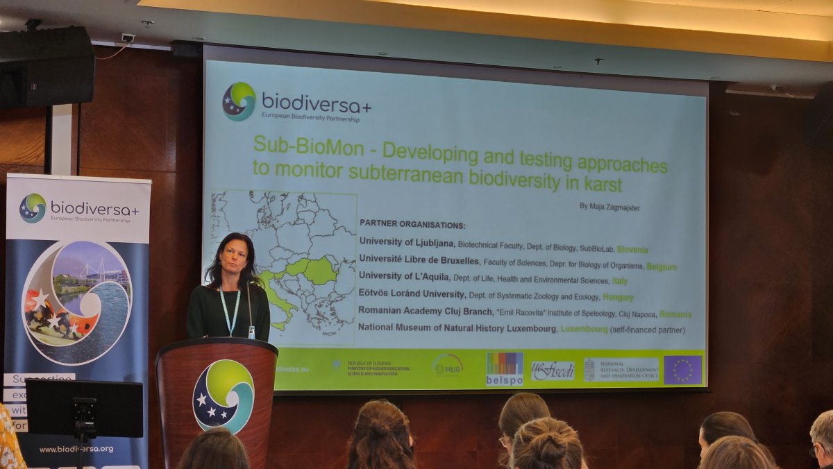 BiodiversaPlus's tweet image. The subterranean species of karst areas in Europe represent an important part of the continent’s biodiversity. 
#SubBioMon will provide the much-needed scientific basis for standardised biological monitoring of this hidden natural treasure. 
#BiodivMonTallinn