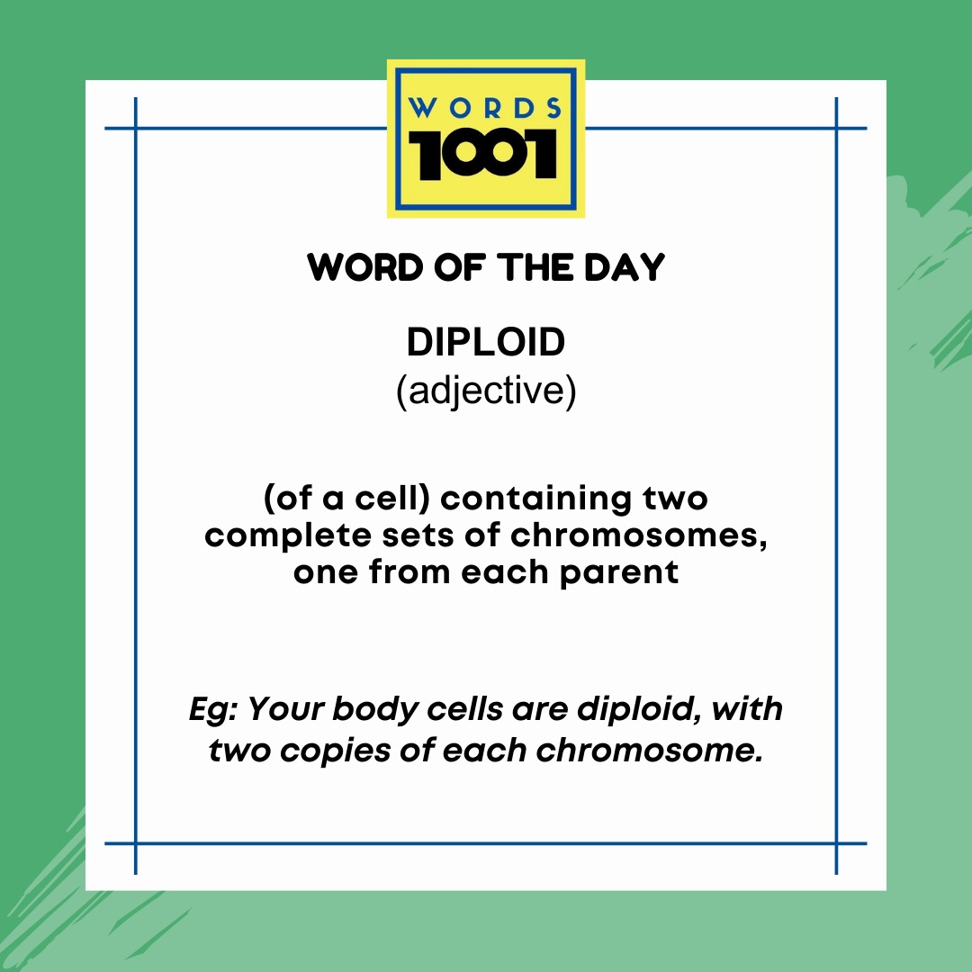 WORD OF THE DAY FOR ADVANCED #everydayenglish #easyenglish #speakenglish #learningenglish #studyenglish #englishwords #newwords #newenglishword #wordoftheday  #everydayenglish