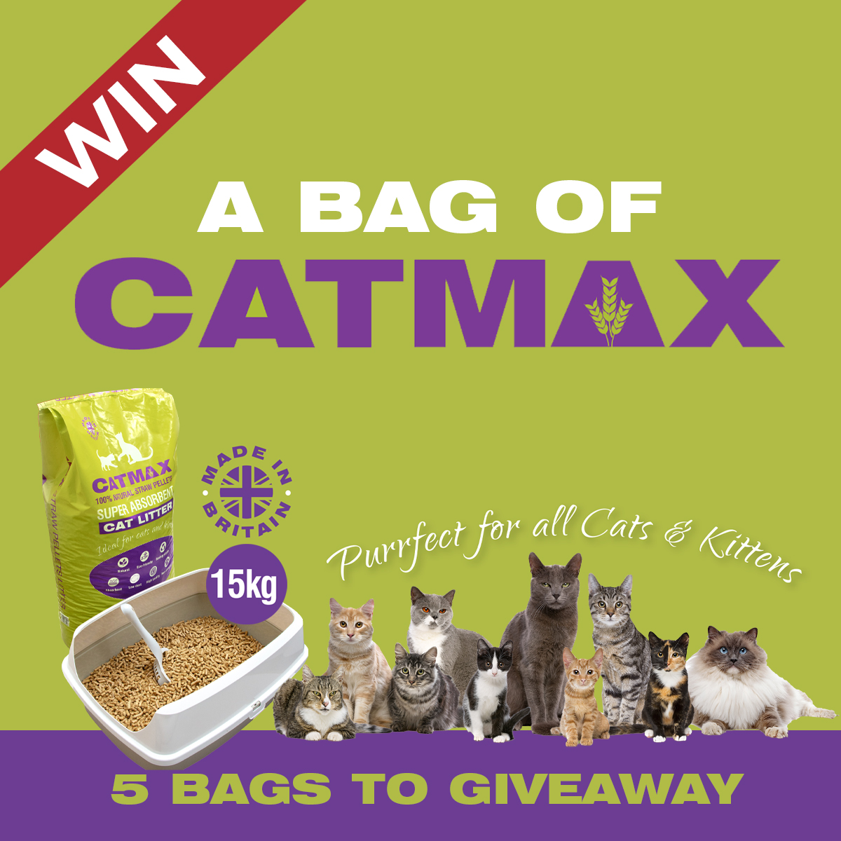 We recently launched a brand new product – CATMAX – a cat litter made from straw pellets.

Interested in trying it for your feline friends? Complete the short survey below by 30.04.24 and we’ll chose 5 WINNERS at random to send a bag to.

bedmaxshavings.com/catmax/win/