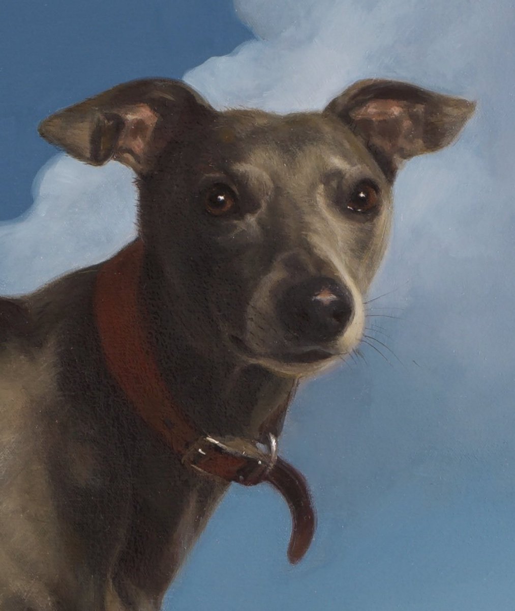 DPMacMahon's tweet photo. A portrait I recently painted of a friend of mine’s whippet. https://t.co/lVFkG2AIFI