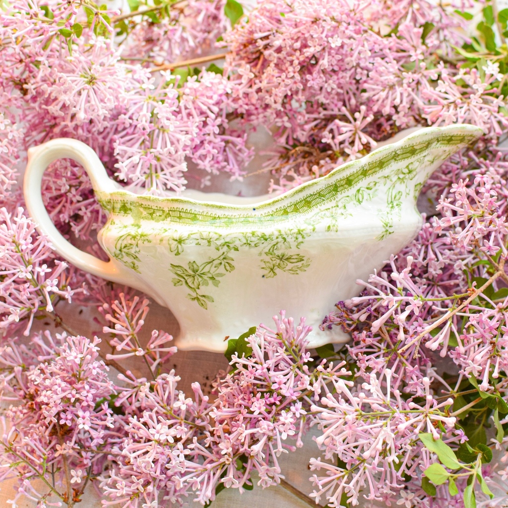 I just added this sweet green transferware gravy boat to the shop. It feels just right for spring.  Available at number19vintage.etsy.com.

#greentransferware  #transferware#englishantique #englishantiques #englishchina #antiquechina #englishcountrystyle