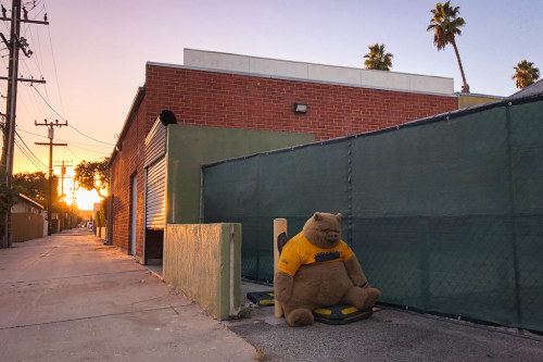 Pooh Corner, After Hours by ijp01 bit.ly/444yRlc #thingsdavidlikes california, losangeles, culvercity, alley, urban, buildings, palmtrees, powerlines, teddybear, oversized, sunset, streetscene, glow, odd, outofplace, fence, pavement, depthoffield, flickr, thingsdavidli…