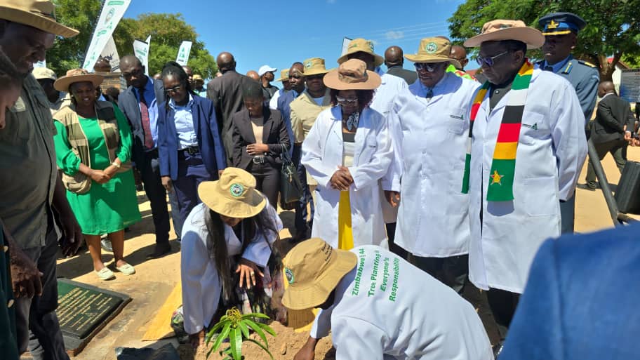 H.E Pres @edmnangagwa is presiding over the launch of Legacy Plantations at Murambinda A Primary School. The plantations program being launched today will result in the planting of 44000 indigenous & fruit trees across Buhera district. #EDworks