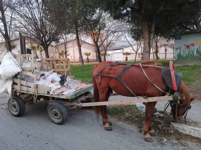 Millet 50k altına düşerse arabasını satıp $btc alacakmış 😀 benimkide satılık galericiler dm 🤣