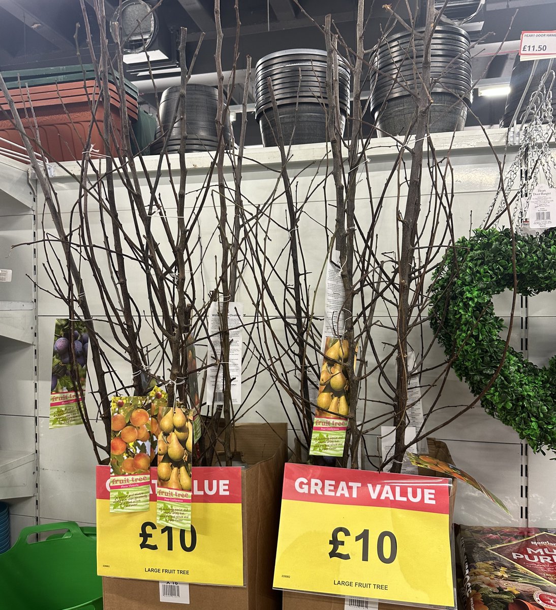 AlhambraCentre's tweet image. With the weather getting warmer, it feels more &amp;amp; more like Spring every day. Who's excited to start working on their garden again?🤩🪴

Get all you need &amp;amp; more from @poundstretcher, with seeds &amp;amp; trees to plant pots, fertiliser &amp;amp; more!

#Poundstretcher #GardeningEssentials