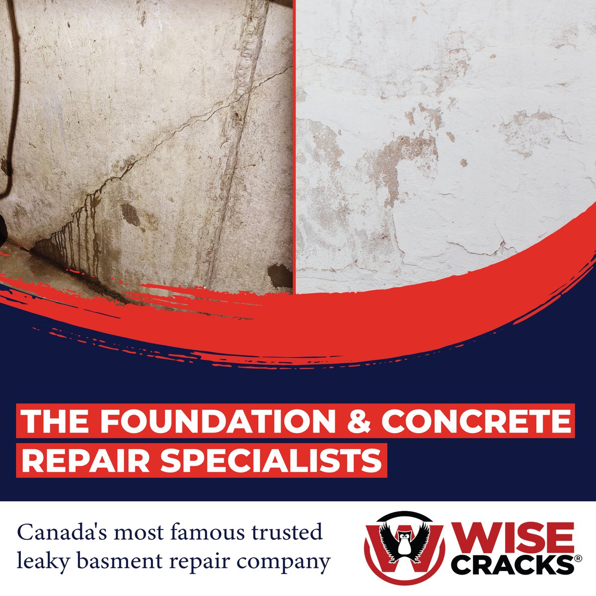 #basementwaterproofing #drybasement #leakybasement #homerepair #foundationrepair #concreterepair #sumppumps #realestate