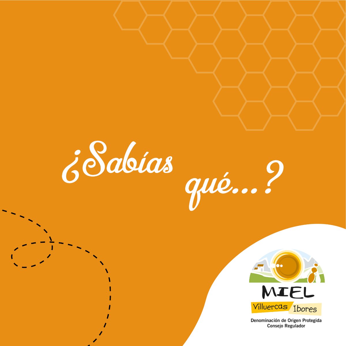 👉 En la #DOP Miel #VilluercasIbores no se realiza trashumancia. 👀🍯 ¿Por qué? Porque así obtenemos una #miel homogénea en cuanto a la #flora de la zona y, aunque produzcamos menos cantidad de miel por #colmena, conseguimos una miel de #calidad excelente. #abejas #extremadura