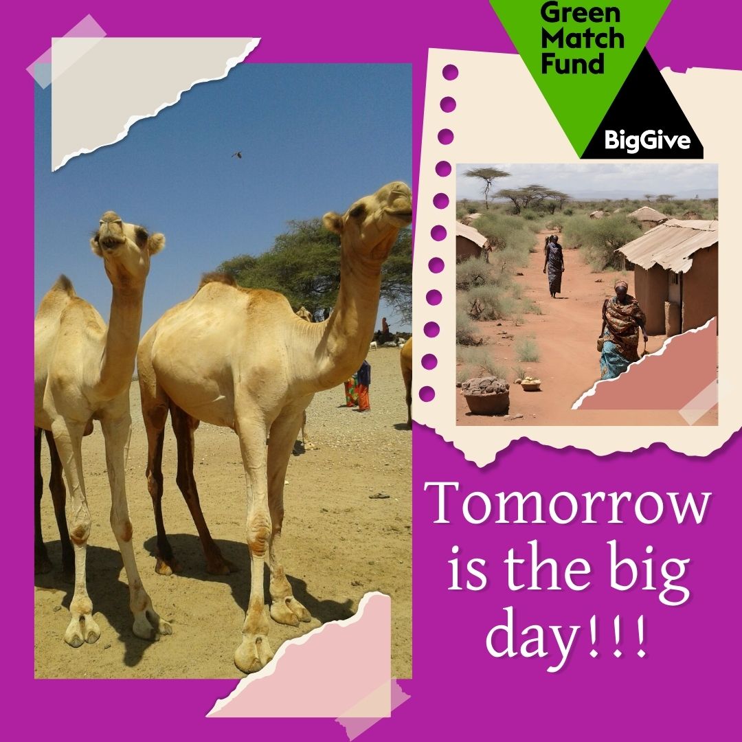 Our Green Match campaign launches tomorrow! 🌱💫From 18th to 25th April, to double your impact, EVERY DONATION is DOUBLED 

donate.biggive.org/campaign/a0569…