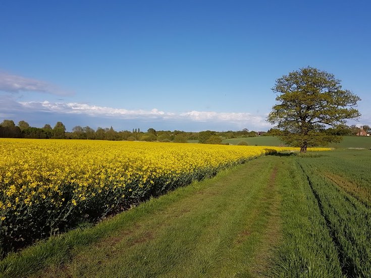 BFS Fertilisers tweet media