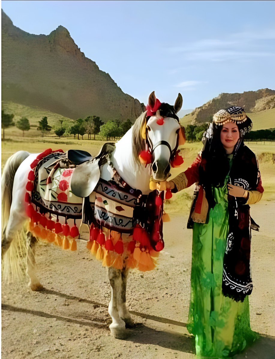 A Kurdish woman in eastern Kurdistan