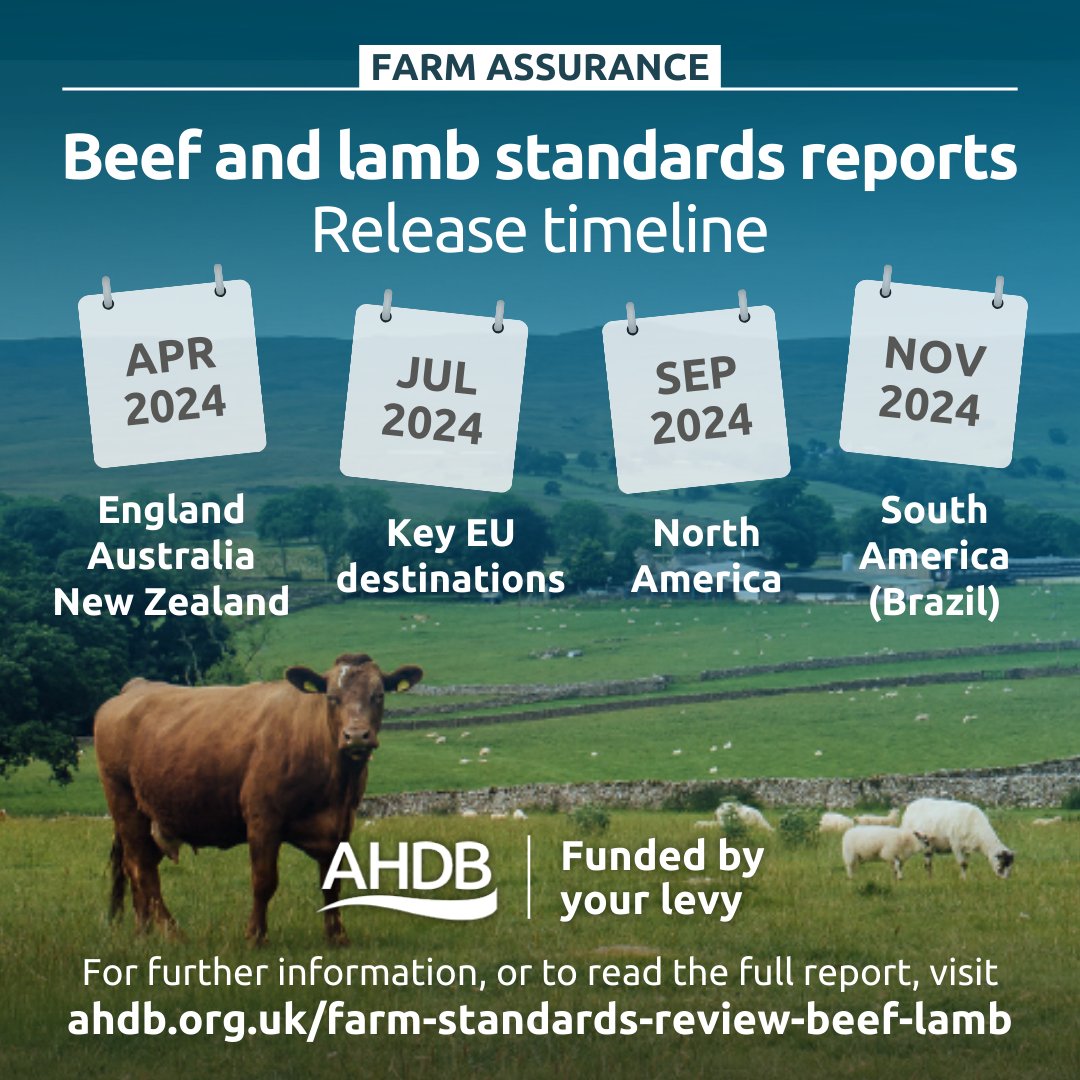 We have released the first of 4 reports evidencing current English production standards for beef & lamb. The independent reports will help inform the industry's future direction by comparing the voluntary assurance standards & regulatory requirements. 🔗:ow.ly/M1y050RhXto