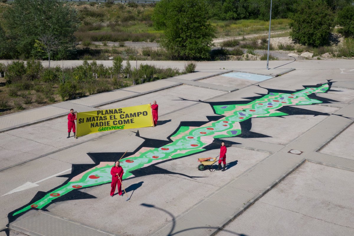 🚨 ¡ACCIÓN! 'Planas, si matas el campo, nadie come': Greenpeace reivindica la agricultura familiar frente al modelo de la agroindustria #LuchasCampesinas #NosPlantamos 📷 Foto y vídeo disponibles 🗣️ Portavoces disponibles ➕ Info 👇 es.greenpeace.org/es/sala-de-pre…