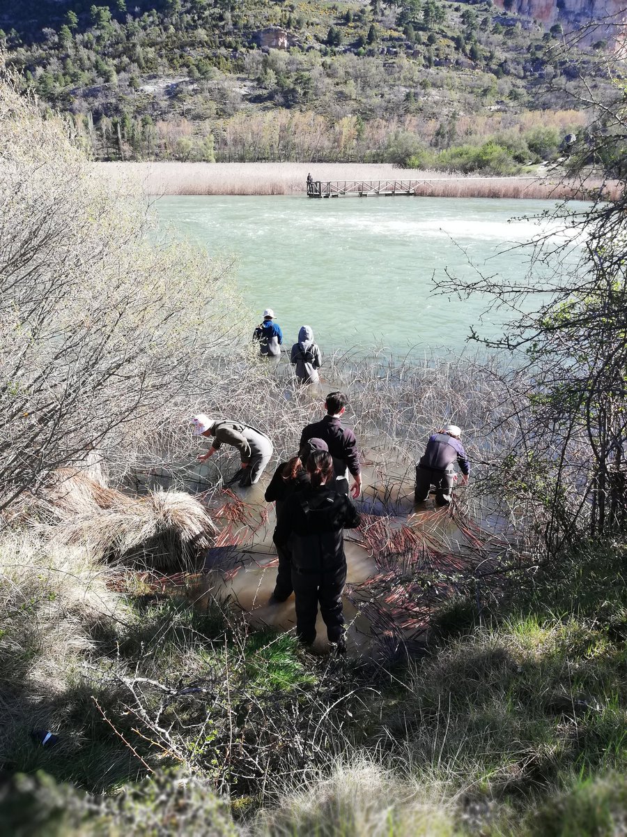 Esta semana gran parte profesorado @EcologiaUam estamos en el campo con estudiantes de Lab. Integrado sistemas terrestre de 3° y Lab. avanzado Sistemas Acuáticos de 4°Grado Biología. Aprendizaje práctico #OrgulloUAM