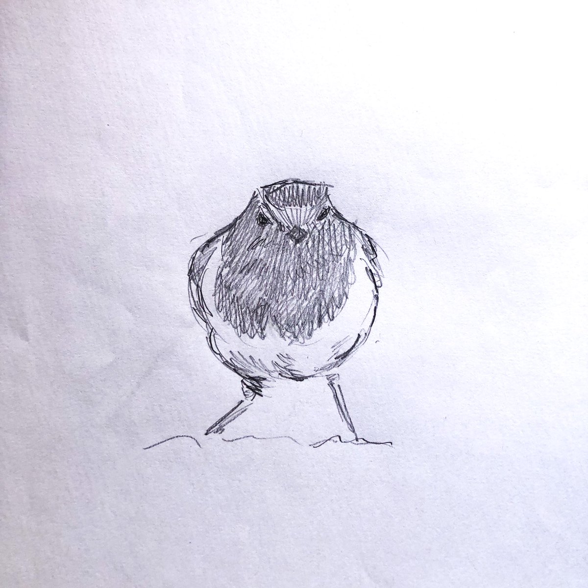 Être au téléphone. Dessiner des oiseaux. (encore) #oiseaux #portfolio #portfolioday #amainlevee