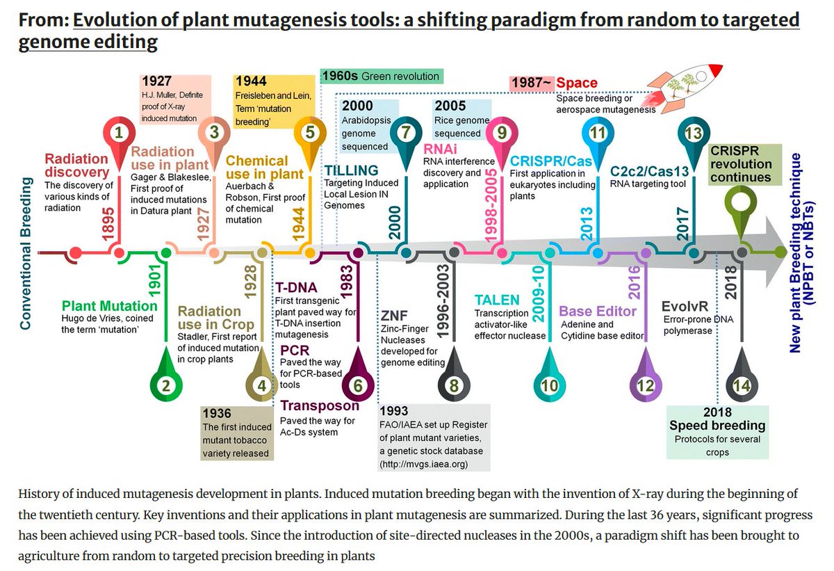 🧬🌾🔬👨‍🎓📈🧩🧑‍🌾💚🌾👍🍞📈
➡️Evolution of plant mutagenesis tools: a shifting paradigm from random to targeted genome editing 
Plant Biotechnol Rep 13 423–445 
➡️ doi.org/10.1007/s11816…
#plantbreeding #Genomics #NGT #FoodSecurity #climatechange #resistance #agriculture #yieldgap
