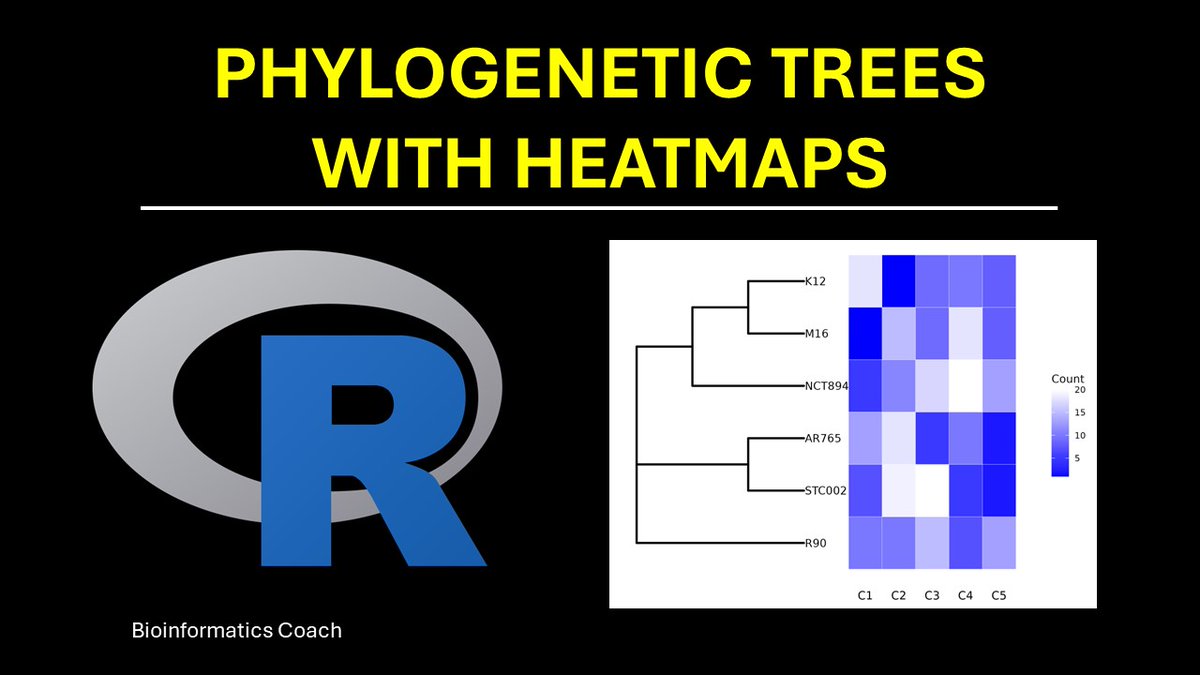 Hi Friends,
Learn how to visualize #Phylogenetic trees with #heatmaps using #R #ggtree package.

youtu.be/hjUpo6wQ5jk

#Bioinformatics #DataScience #BigData