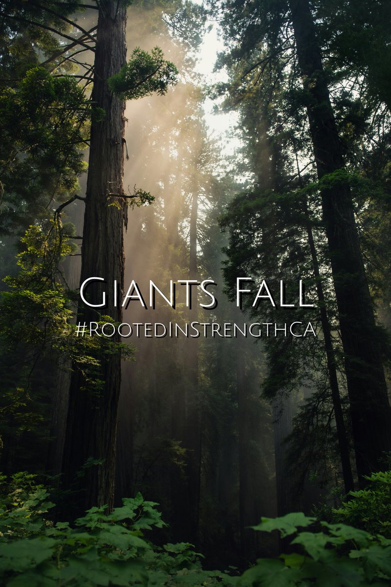 Anxiety, fear, and doubt are present in your life as well as others. On many days more than one of these is present in your life. The great thing is that with Jesus in your life these Giants Fall and do not hold power over you. 
1 Peter 5:8-9 
#RootedInStrengthCA