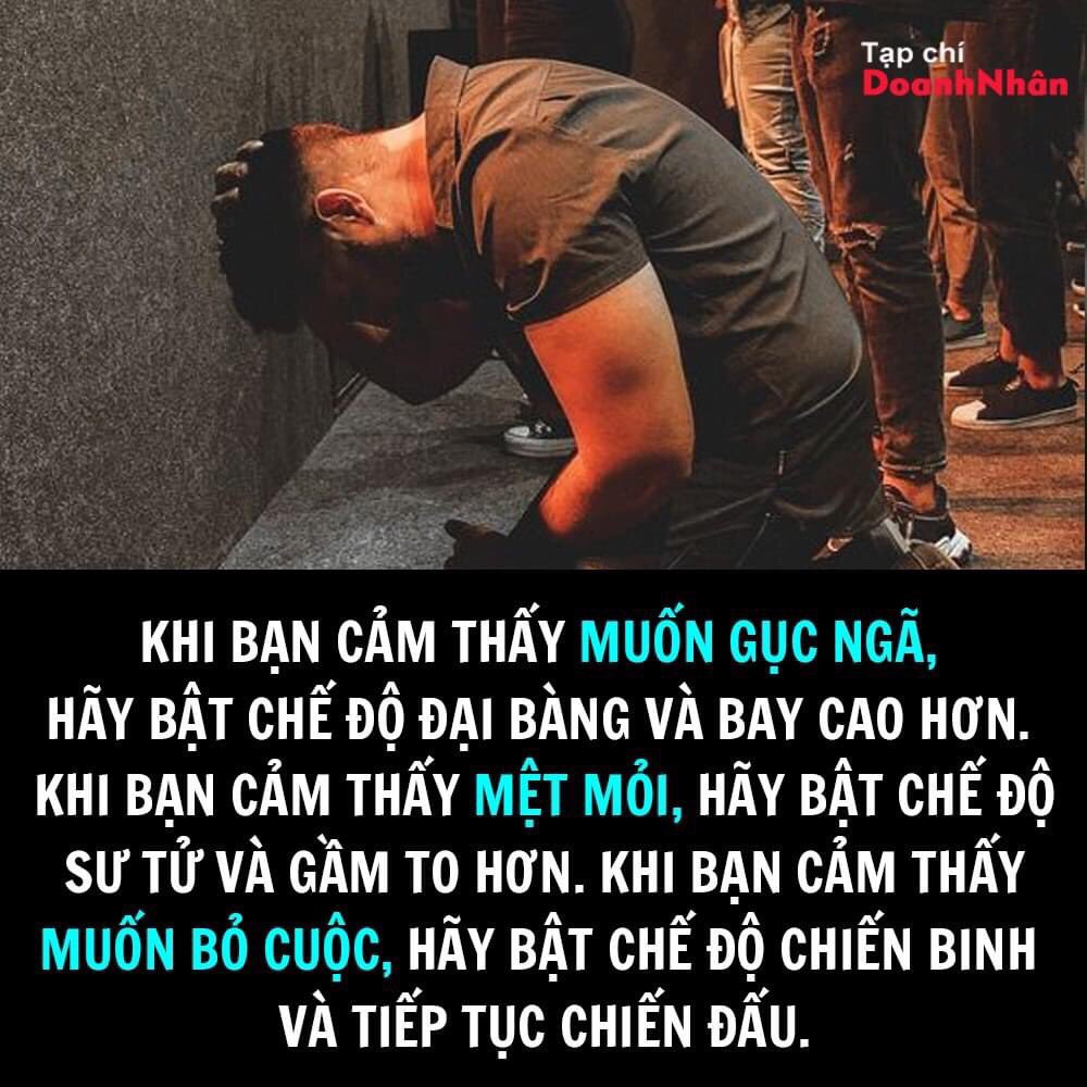 Khải Nguyễn tweet media