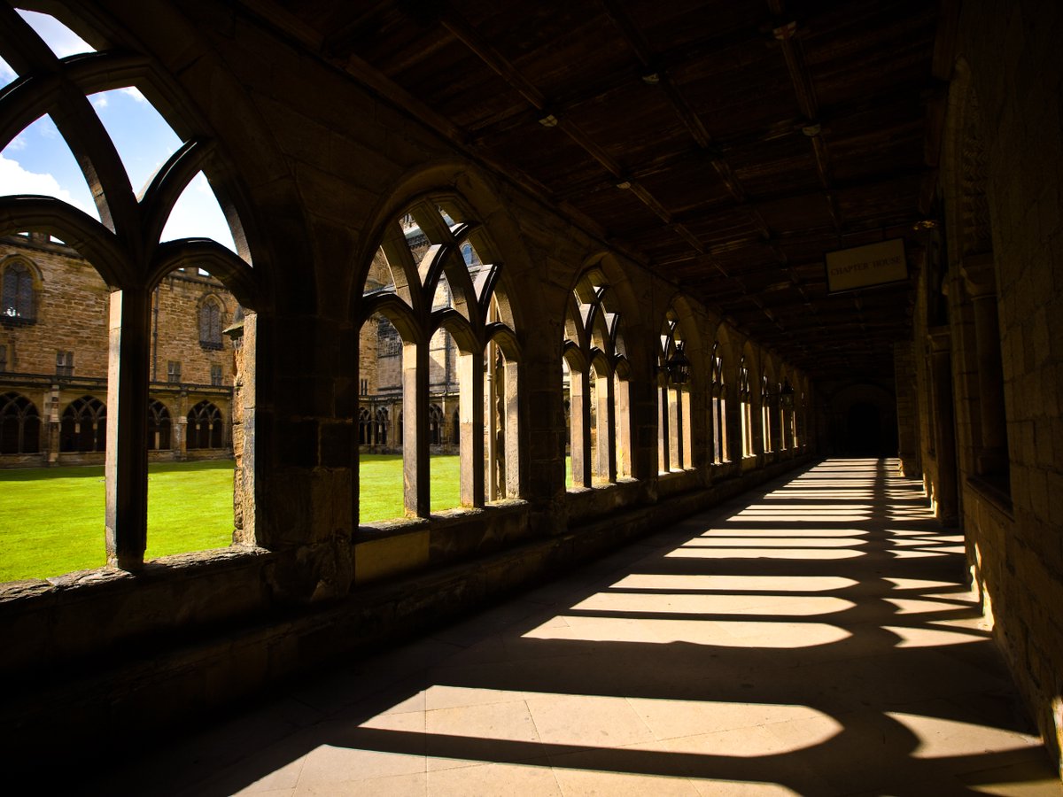 Discover_Durham's tweet photo. Today marks #BatAppreciationDay 🦇. The #groupattraction @durhamcathedral is a place full of wonder and is even home to the second largest roost of Common Pipistrelle bats in the UK. They live in the Cloister roof. https://t.co/EVye2oV3Px #DiscoverDurham #groupvisit #bats https://t.co/hNeJg9YAib