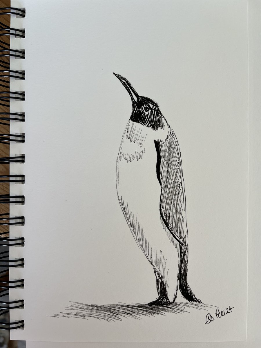I purchased a sketch book at the beginning of the year with the goal to draw more. 🐧

#art #WildlifeWednesday #drawing #sketches #Penguins